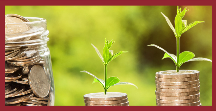 Cash Management and Investment for Safety-Conscious Investors